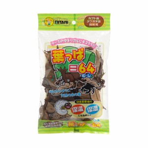 ミタニ　葉っぱ＝６４　昆虫　隠れ家　足場　保湿