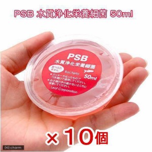 Ｌｅａｆ　ＰＳＢ　水質浄化栄養細菌　小（５０ｍｌ）１０個セット　光合成細菌　淡水用　バクテリア　熱帯魚　観賞魚