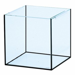 コトブキ工芸　ガラス水槽　クリスタルキューブ２５０−Ｂ　ブラックシリコン　２５ｃｍ水槽　小型水槽　ガラス水槽　お一人様５点限り