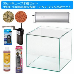 ３０ｃｍキューブ水槽セット　手軽に小型熱帯魚飼育！アクアリウム用品（水槽・ＬＥＤライト＆他５点）プロ推奨・初めての飼育セット