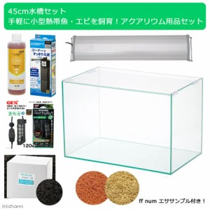 ４５ｃｍ水槽セット　手軽に小型熱帯魚・エビを飼育！アクアリウム用品（水槽・ＬＥＤライト＆他５点）プロ推奨・初めての飼育セット