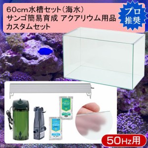 ６０ｃｍ水槽セット　サンゴ簡易育成カスタム　海水アクアリウム用品（水槽・ＬＥＤライト＆他６点）プロ推奨セット　５０Ｈｚ