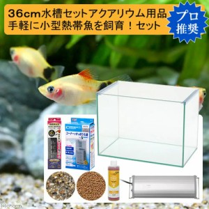 ３６ｃｍ水槽セット　手軽に小型熱帯魚飼育！アクアリウム用品（水槽・ＬＥＤライト＆他５点）プロ推奨・初めての飼育セット