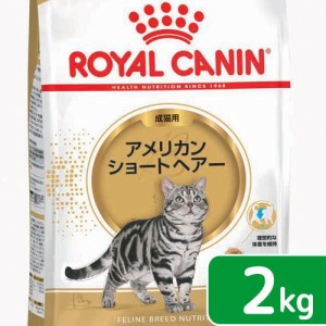 ロイヤルカナン 猫用 キャットフード　猫　アメリカンショートヘアー　成猫用　生後１２ヵ月齢から１２歳まで　２ｋｇ　ジップ付　キャッ