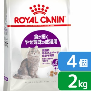 ロイヤルカナン 猫用 キャットフード　猫　センシブル　食が細く　やせ気味の成猫用　２ｋｇ×４袋　３１８２５５０７０２３１７　お一人