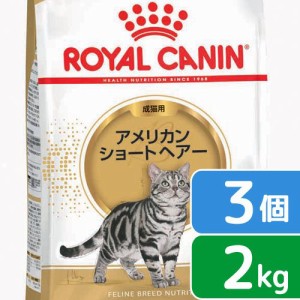 ロイヤルカナン 猫用 キャットフード　猫　アメリカンショートヘアー　成猫用　生後１２ヵ月齢から１２歳まで　２ｋｇ×３袋　ジップ付（