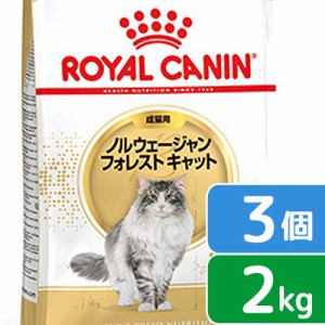 ロイヤルカナン 猫用 キャットフード　猫　ノルウェージャン　フォレスト　キャット　成猫用　生後１２ヵ月齢から１２歳まで　２ｋｇ×３