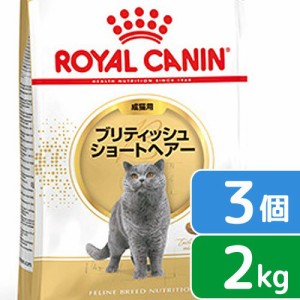 ロイヤルカナン 猫用 キャットフード　猫　ブリティッシュ　ショートヘア　２ｋｇ×３袋　ジップ付　お一人様２点限り