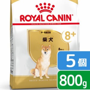 ロイヤルカナン 犬用 ドッグフード　柴犬　中・高齢犬用　８００ｇ×５袋　３１８２５５０８６６１１８　ジップ付　お一人様２点限り