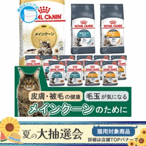 ロイヤルカナン 猫用 キャットフード　猫　メインクーンセット　毛玉、皮膚・被毛の健康に配慮　ドライ３種各１袋＋ウェット２種各５袋　