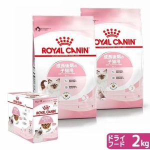 ロイヤルカナン 猫用 キャットフード　猫　成長後期の子猫用ドライウェットセット　ドライ２ｋｇ×２袋　ジップ付＋パウチ８５ｇ×１２袋