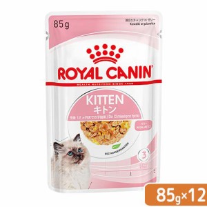 ロイヤルカナン 猫用 キャットフード　子猫　キトン　ゼリー　成長後期の子猫用　８５ｇ　１ボール１２袋　９００３５７９３１１７１４　