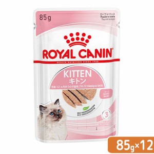 ロイヤルカナン 猫用 キャットフード　子猫　キトン　ローフ　成長後期の子猫用　８５ｇ　１ボール１２袋　９００３５７９００３８４８　