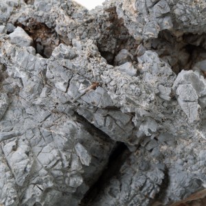 形状お任せ　裂渓石　サイズミックス　５ｋｇ　４５ｃｍ水槽向け　アクアリウム　レイアウト素材