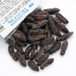 冷凍★　国産　冷凍足なしクロコオロギ　メガＬサイズ　１００ｇ　爬虫類エサ　無添加　無着色　別途クール手数料　常温商品同梱不可