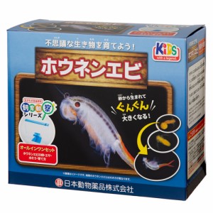 日本動物薬品　ニチドウ　飼育観察セット　ホウネンエビ