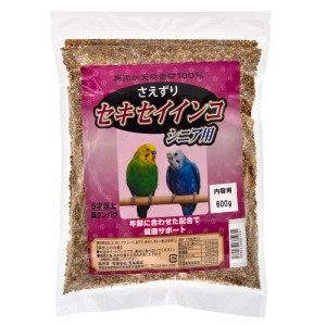 荒為商店　セキセイインコ　シニア　６００ｇ