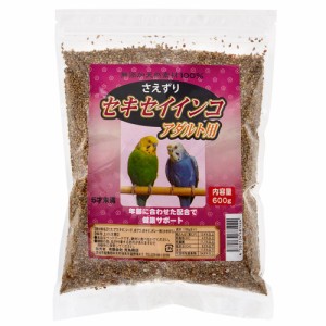 荒為商店　セキセイインコ　アダルト　６００ｇ