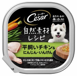 シーザー　自然素材レシピ　平飼いチキン＆にんじん・いんげん　８５ｇ×２個　 ドッグフード