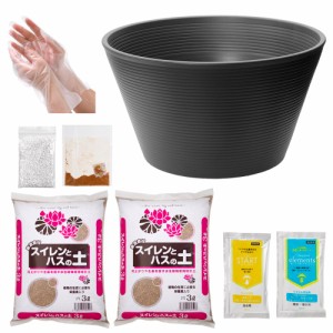 睡蓮鉢　１４号　プロが考えた睡蓮鉢（メダカ鉢）　グレー＋スイレンとハスの土　６Ｌ（３Ｌ×２）＋固形栄養素＋カルキ抜き