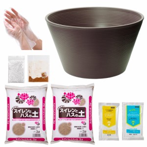 睡蓮鉢　１４号　プロが考えた睡蓮鉢（メダカ鉢）　ブラウン＋スイレンとハスの土　６Ｌ（３Ｌ×２）＋固形栄養素＋カルキ抜き