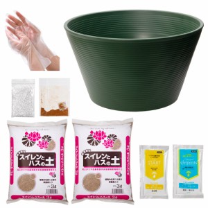 睡蓮鉢　１４号　プロが考えた睡蓮鉢（メダカ鉢）グリーン＋スイレンとハスの土　６Ｌ（３Ｌ×２）＋　固形栄養素＋カルキ抜き　お一人様