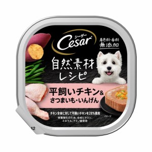 シーザー　自然素材レシピ　平飼いチキン＆さつまいも・いんげん　８５ｇ　 ドッグフード