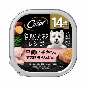 シーザー　自然素材レシピ　１４歳からの　平飼いチキン＆さつまいも・いんげん　８５ｇ×２８個　 ドッグフード