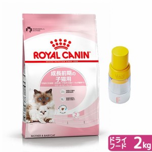 フードを細かくできる子猫セット　ロイヤルカナン 猫用 キャットフード　猫　マザー＆ベビーキャット　成長前期の子猫用　２ｋｇ＋ペティ