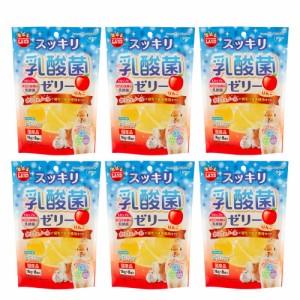 マルカン　スッキリ乳酸菌ゼリー　りんご　１６ｇ×８個入り　６袋入り (ハムスター)