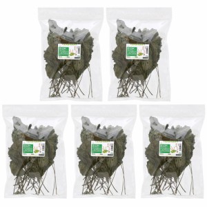 ５袋セット　国産　オオバコの葉　１００ｇ（２０ｇ×５袋）小動物のおやつ　無添加　無着色 (ハムスター 餌)