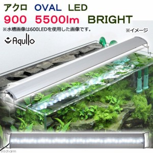 アクロ　ＯＶＡＬ　ＬＥＤ　９００　５５００ｌｍ　ＢＲＩＧＨＴ　水槽　照明　熱帯魚　アクアリウム　ライト