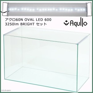 スーパークリア　アクロ６０Ｓ　ＯＶＡＬ　ＬＥＤ　６００　３２５０ｌｍ　ＢＲＩＧＨＴ　セット　お一人様１点限り