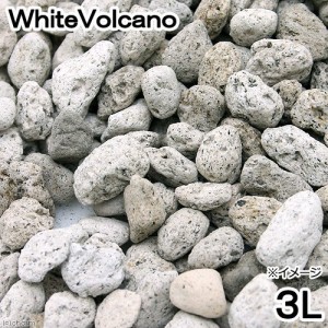 Ｎｏ．１２１　ＷｈｉｔｅＶｏｌｃａｎｏ　３リットル　ろ材　鉢底石　お一人様１０点限り