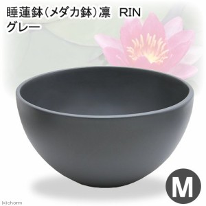 睡蓮鉢　睡蓮鉢（メダカ鉢）　凛　ＲＩＮ　丸型　ダークグレー　Ｍ　睡蓮鉢・金魚鉢・メダカ鉢