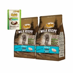 ニュートロ　猫　キャット　ワイルド　レシピ　アダルト　白身魚　成猫用　２ｋｇ×２袋＋デイリー　ディッシュ　アダルト　パウチ　おま