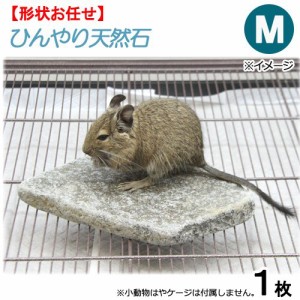 ひんやり天然石　Ｍ　形状お任せ　デグー　モモンガ　保冷用品 (ハムスター)