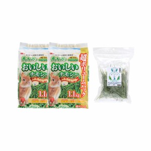 【トッピング牧草付】ＧＥＸ　おいしいチモシー　１．１ｋｇ