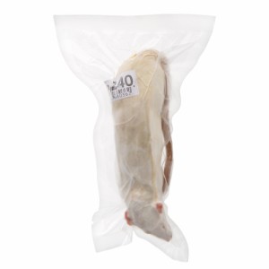 冷凍★アダルトＬＬ　Ｒａｔ２４０　１匹パック　別途クール手数料　常温商品同梱不可　冷凍ラット　爬虫類　猛禽類