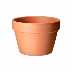 多肉植物　デローマ　メゾポット　２１ｃｍ　植木鉢