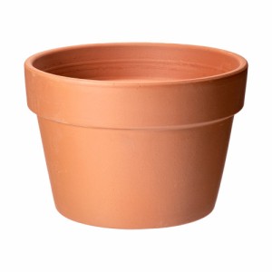 多肉植物　デローマ　メゾポット　２７ｃｍ　植木鉢