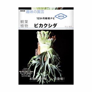 ＮＨＫ趣味の園芸　１２か月栽培ナビＮＥＯ　観葉植物　ビカクシダ