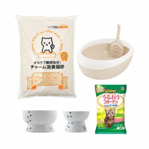 子猫用　スターターセット　簡易セット　ケージ無し