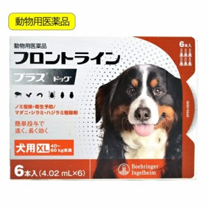 動物用医薬品　フロントラインプラス　ドッグ　ＸＬ　６本　動物用医薬品