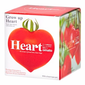 聖新陶芸　Ｈｅａｒｔ　ハートマト栽培セット　栽培セット　家庭菜園　ギフト