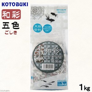 コトブキ工芸　和彩　五色　１ｋｇ　金魚　メダカ　砂利