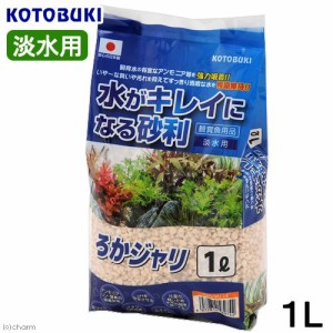 コトブキ工芸　ろかジャリ　１Ｌ