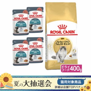 ロイヤルカナン 猫用 キャットフード　猫　ノルウェージャンフォレストキャット成猫用　生後１２ヵ月齢から１２歳まで　４００ｇ＋ウェッ