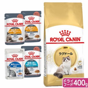 ロイヤルカナン 猫用 キャットフード　猫　ラグドール　成猫用　生後１２ヵ月齢から１２歳まで　４００ｇ　＋　ウェット×４袋