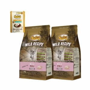 ニュートロ　子猫　キャット　ワイルド　レシピ　キトン　チキン　子猫用　２ｋｇ×２袋＋デイリー　ディッシュ　子猫用　パウチ　おまけ